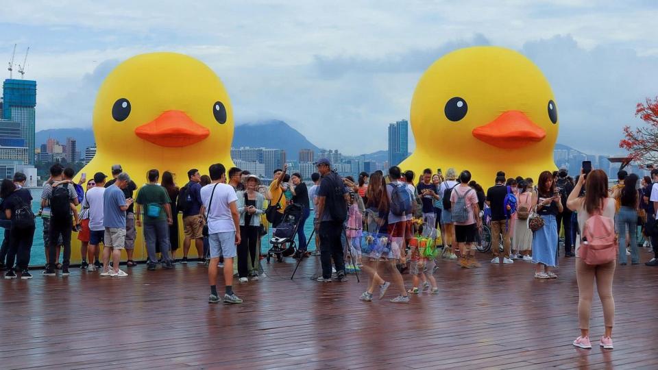 6月12日孖鴨宣布復出...