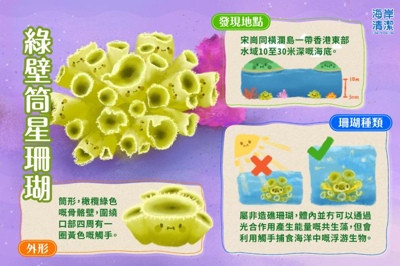 發現香港特有珊瑚品種...