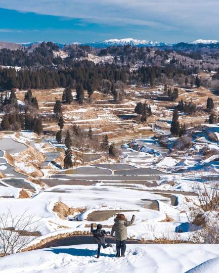 被白雪覆蓋的十日町森林...