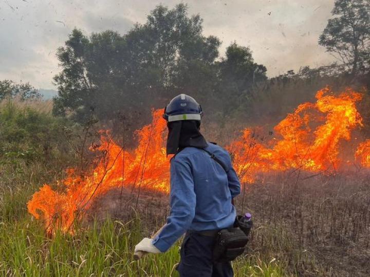 紀律部隊使命 • 為民力抗山火...