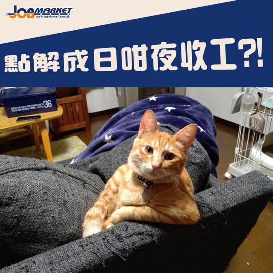 面對夜返嘅屋企人,你第一句係講咩?...