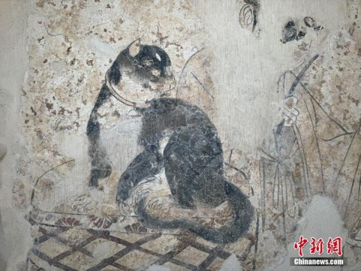 19塊精美的千年唐代壁畫在河南安陽博物館再現芳華...
