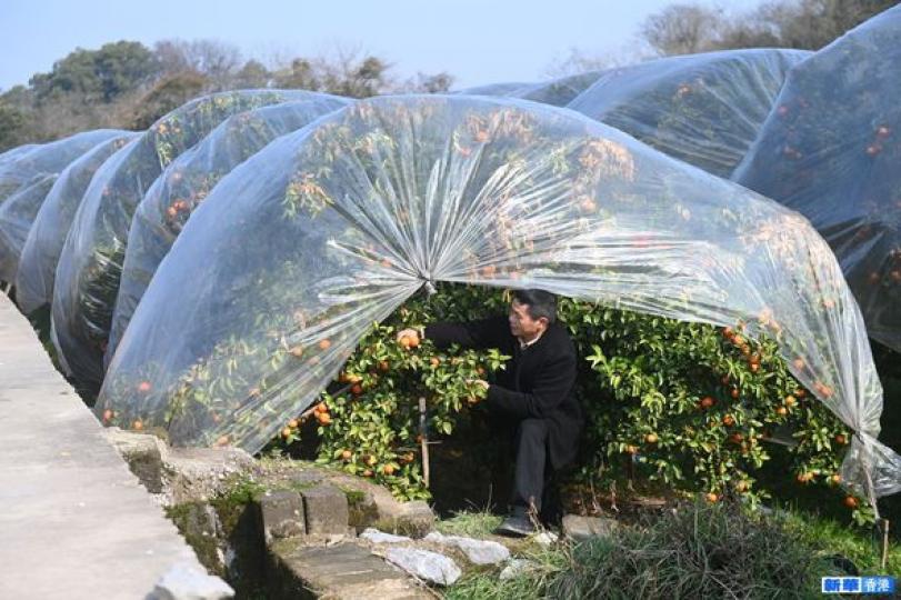 廣西全州縣正遭遇寒潮天氣...