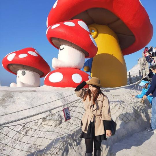 雪白山峰上「6m巨大菇菇」可愛又好拍...