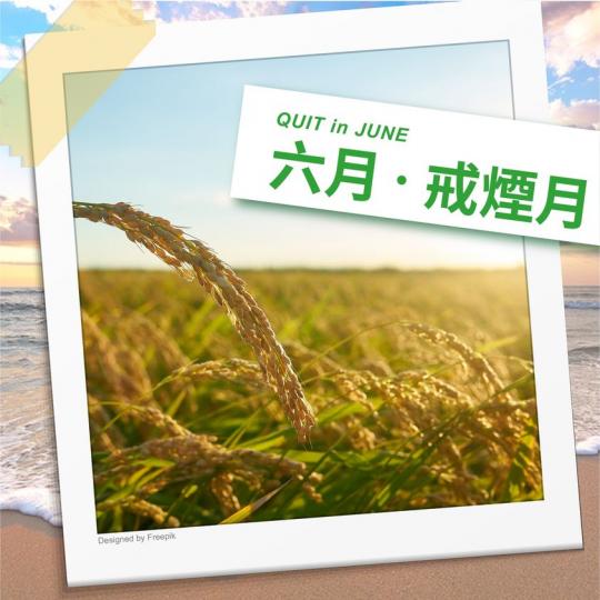 世界無煙日..........