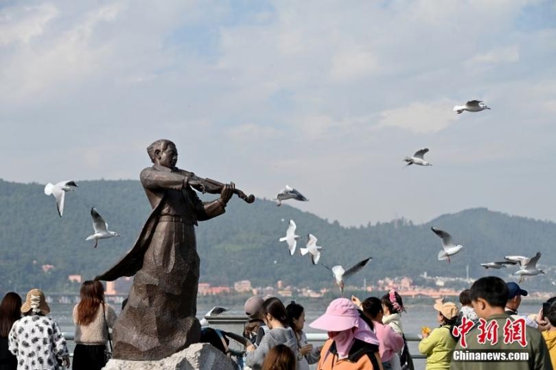 春城”昆明開啟觀鷗季......