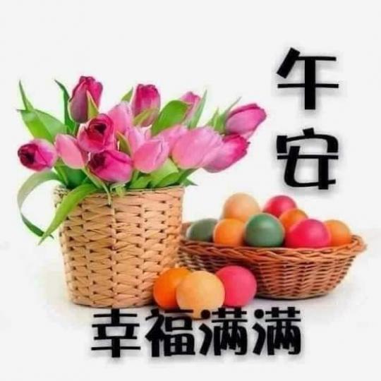 祝願朋友
中午快樂！...