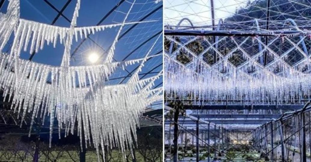 是可遇不可求的珍貴美景
❄️大自然真的太奇妙了...