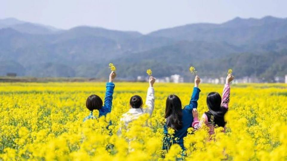 小眾打卡 #油菜花海......