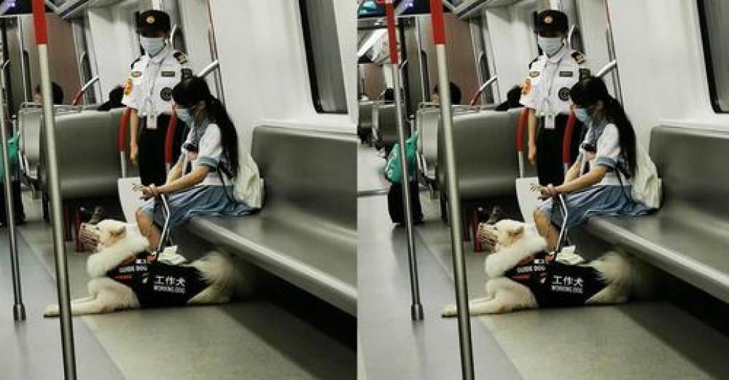 車廂赫見「微笑天使工作犬」......