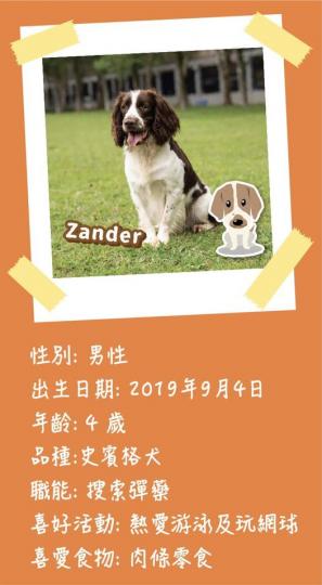 10月4日．世界動物日．......