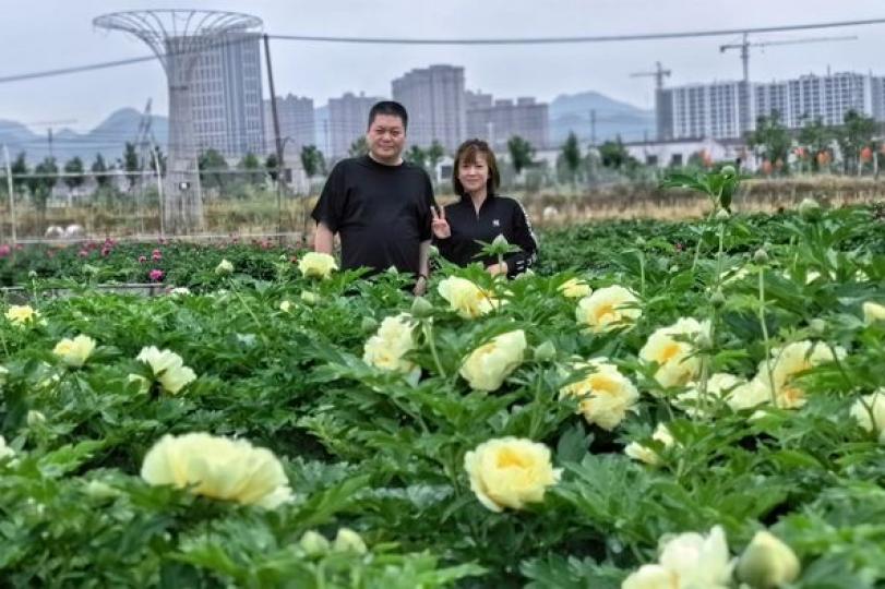 探訪花園村：兩岸青年驚歎繁榮景象...