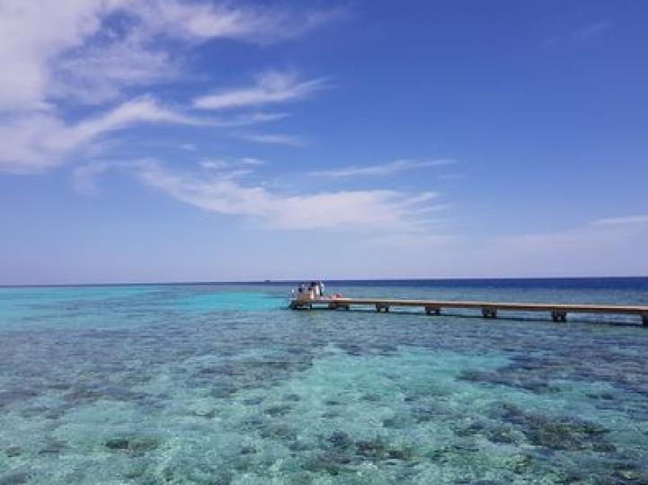 埃及紅海............