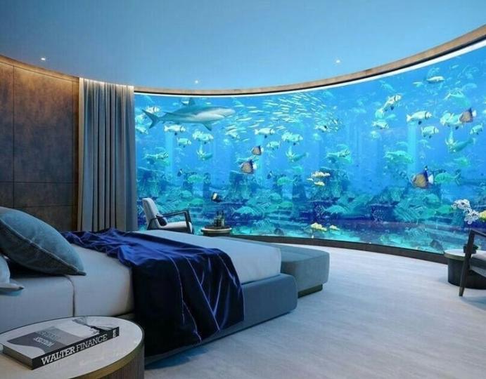 誰說不能在家裡開水族館...