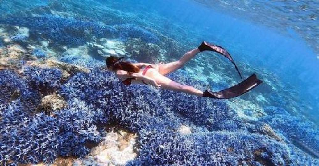 湛藍海底藏了整片薰衣草森林...
