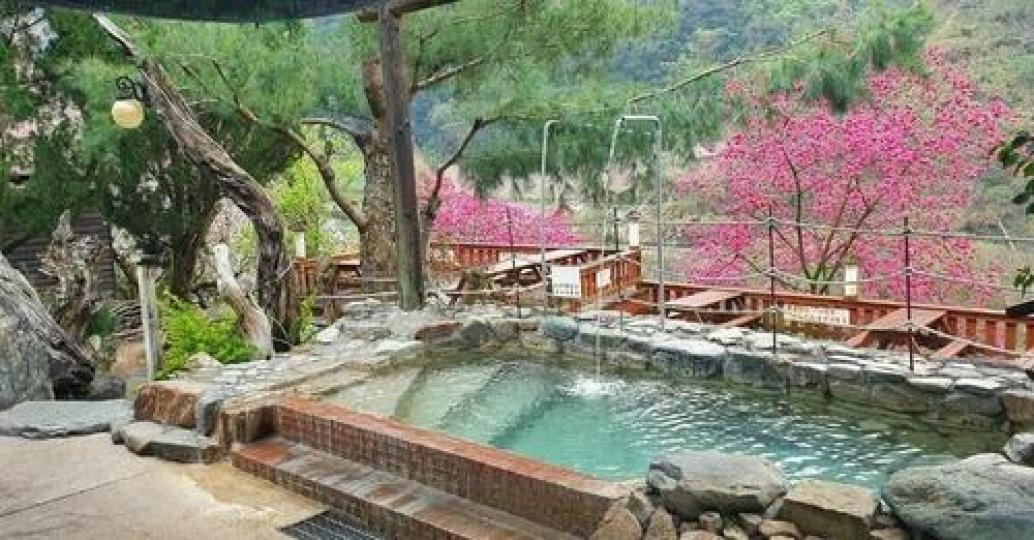 櫻花季時就像天堂般浪漫...