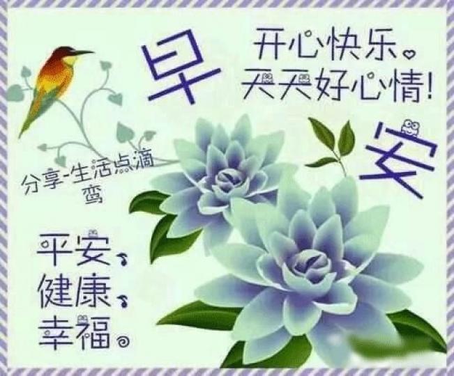 大家早上好:
分享快樂,
高興停不了!...
