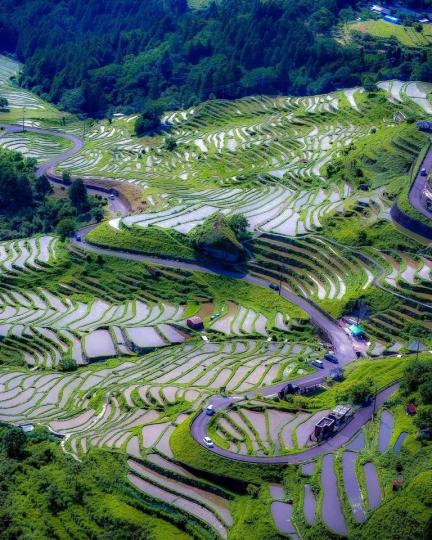 小巧的水田層層綿延堆疊...