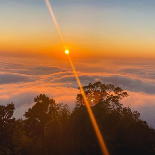被雲海山巒圍繞！橘黃色夕陽緩緩落下...