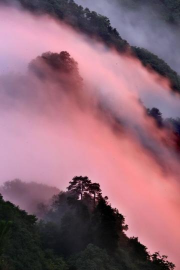 當山冬季冷暖空氣交匯後，常會出現大面積的雲海奇觀...