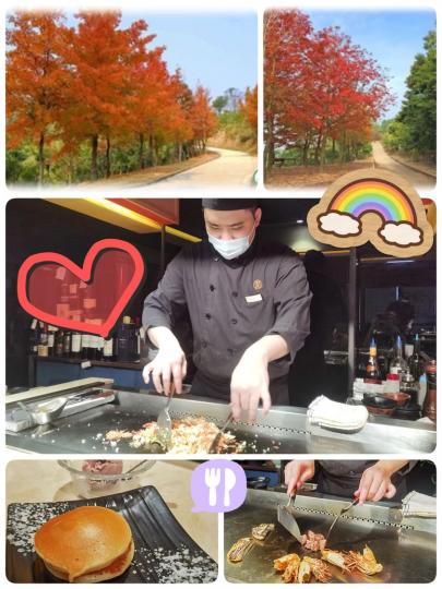 大欖郊野公園的元朗大棠楓香林...