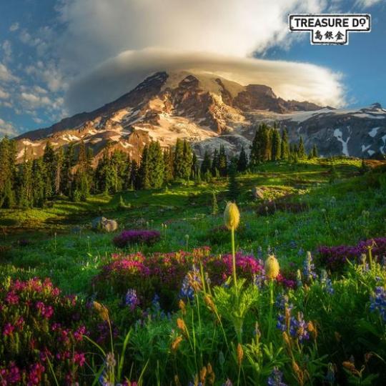 位於位在美国華盛頓州的Mount Rainier。...