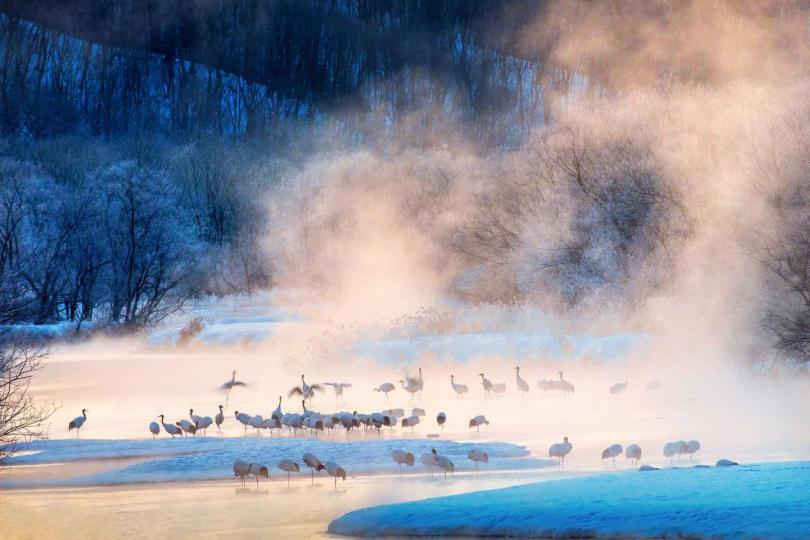 日本雪裡川音羽橋.......