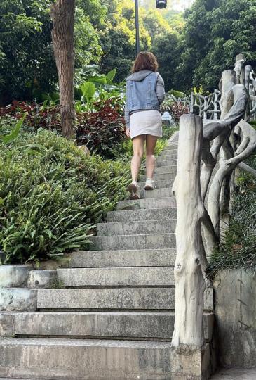 ... 寶安區「企龍山公園」...