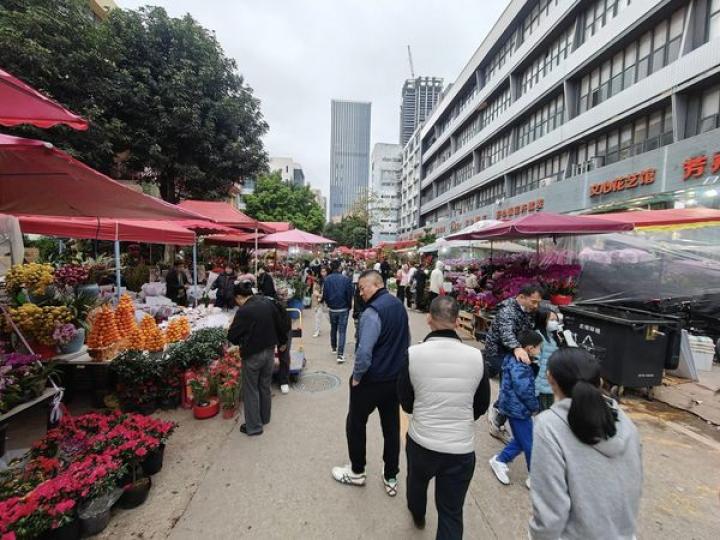 八卦嶺花卉市場.......