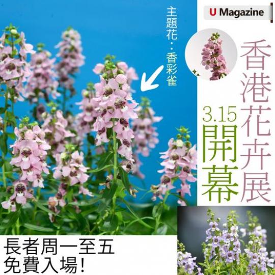 香港花卉展覽將於3月15日舉行...