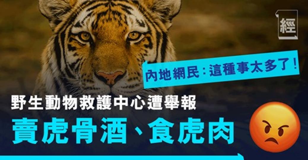 係咪連老虎都要食埋？！...