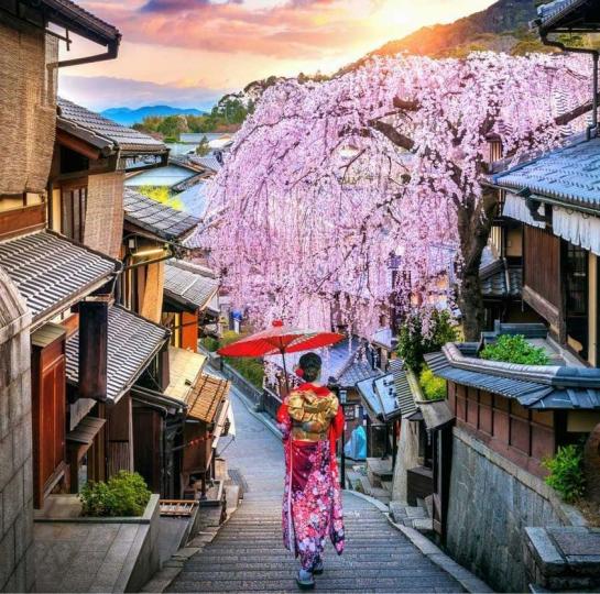 日本本週將重新開放邊境-但不對遊客開...