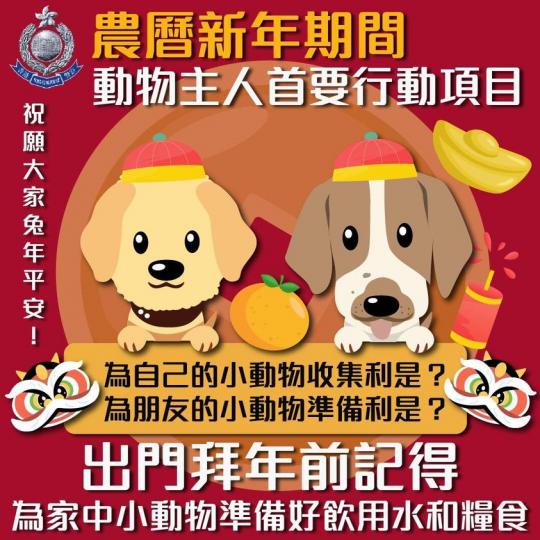 動物主人 • 新春首要行動項目...