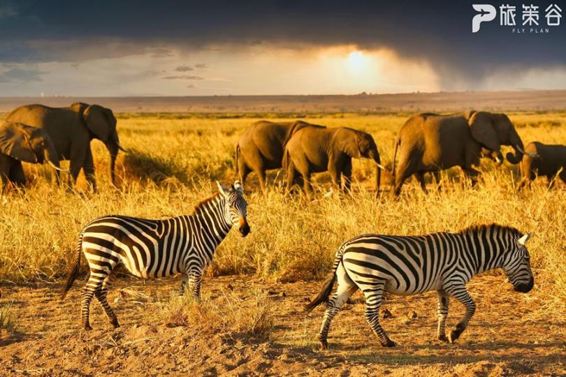 擁有非洲最高峰的壯麗景色 - 安博塞利國家公園...