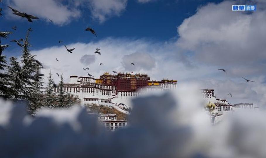 西藏拉薩市迎來降雪.......