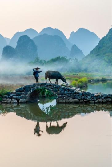 種豆南山下，草盛豆苗稀.......