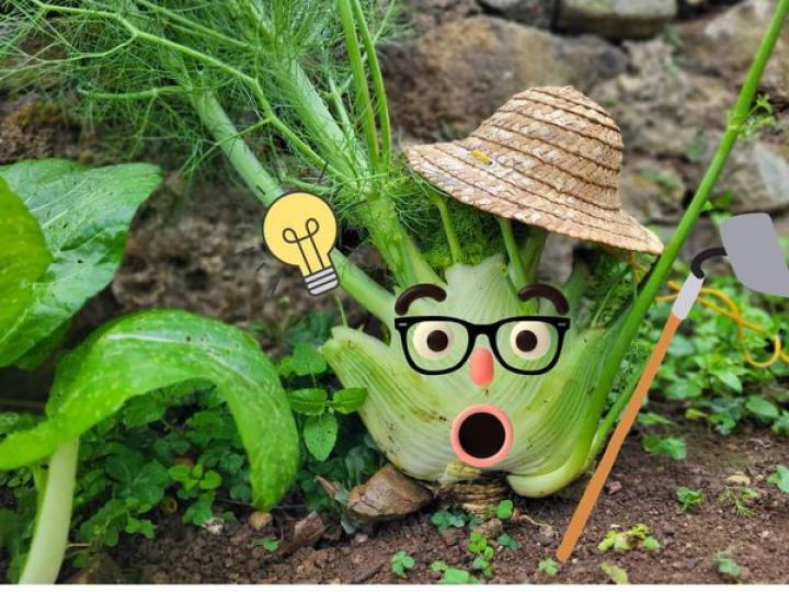 不時不種 Farming is seasonal...