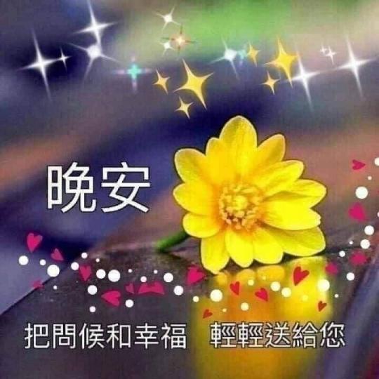 朋友晚安
祝健康
喜樂！...