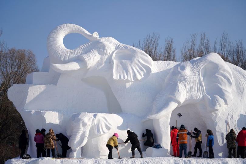 第36届哈尔滨太阳岛国际雪雕艺术博览会在紧张建设中...