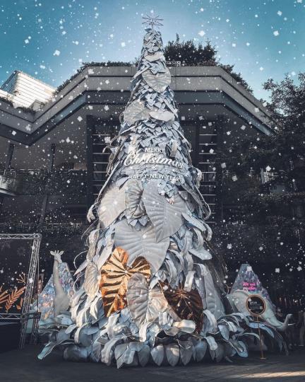 大家耶誕準備去哪過呢
🎄除了新北耶誕城，北部還有超多應景聖誕景點...