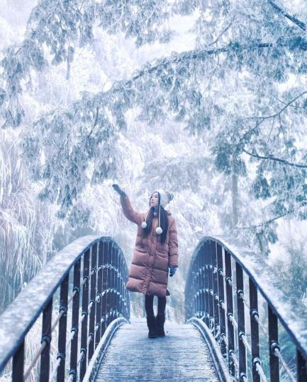 太平山森林遊樂區在清晨落下了輕柔白雪...