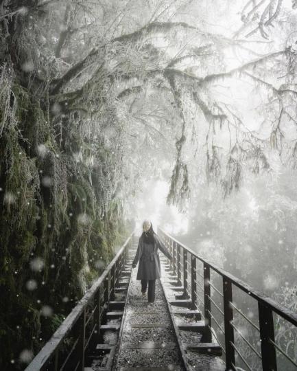 步道上優美的白雪世界，加上霧氣瀰漫的畫面，真的只有天堂可形容，今年冬天台灣處處驚豔...