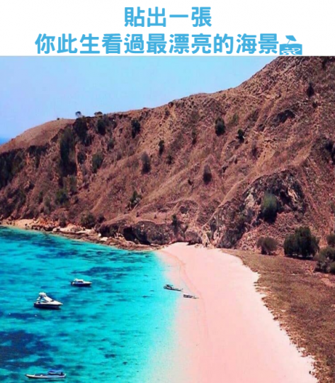 有沒有人愛看海的......
