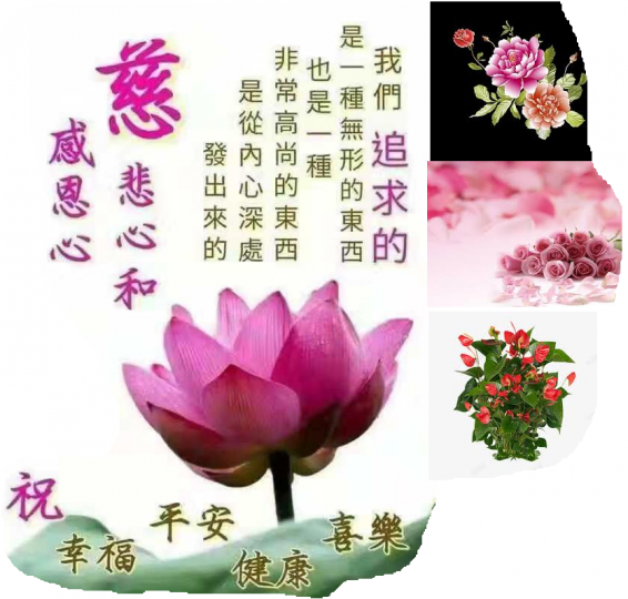 讓人類擁有慈悲心和感恩心!...