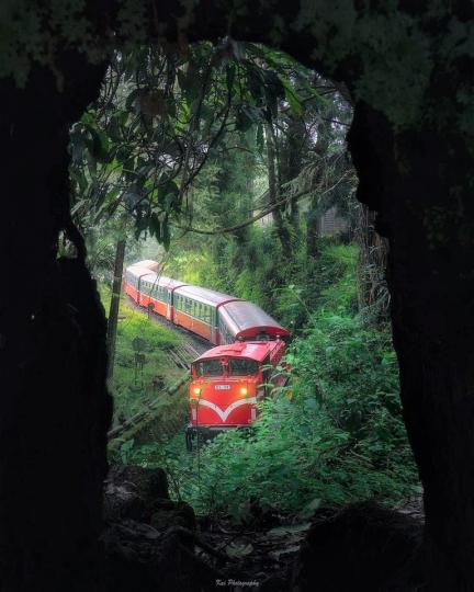 行駛在山中的可愛小列車...