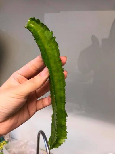 逛全聯驚見「長翅膀的蔬菜」...