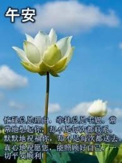 大家好,
祝願各人幸福安康!...
