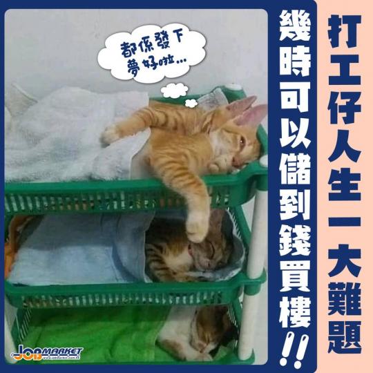 打工仔夢想：成功喺香港置業！...
