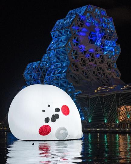 白白胖胖的小海豹漂浮河面...