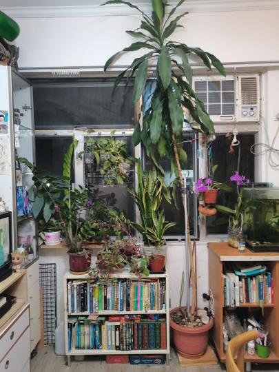 花花草草花花草草.......